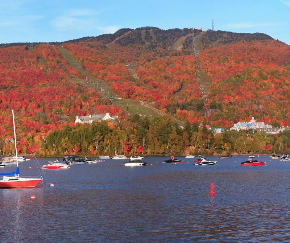Amazing Lakemountain View 5Min To Tremblant 491 Mont-Tremblant Exterior photo